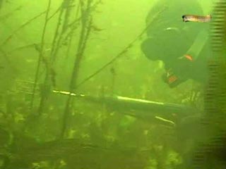 Под Тверью любитель подводной охоты нашел на дне канала ведра с человеческими головами и кистями рук