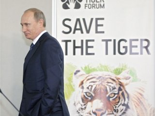 Премьер-министр РФ Владимир Путин провел встречу с известным американским актером Леонардо Ди Каприо, который находится в Санкт-Петербурге для участия в Тигрином форуме