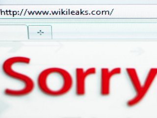 Портал WikiLeaks призвал своих сторонников по всему миру оказать экстренную техническую помощь, чтобы сохранить существование сайта в интернете