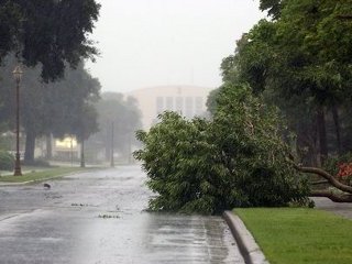В Португалии 36 человек получили ранения в результате ураганных ветров