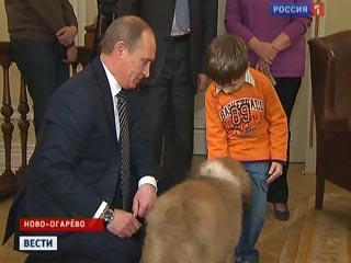 Идиллическую картину могли наблюдать журналисты в четверг вечером в резиденции премьера Владимира Путина - Ново-Огареве. Путин показывал маленькому мальчику свою новую собаку, подаренную болгарским премьером