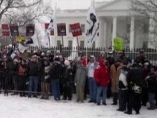 Полиция Вашингтона арестовала 131 человека, пришедших к Белому дому для участия в акции протеста против войны в Афганистане и в поддержку WikiLeaks