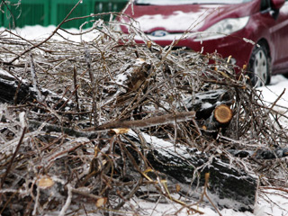 Кроме того, деревья, упавшие под тяжестью льда, не щадят припаркованные возле них автомобили