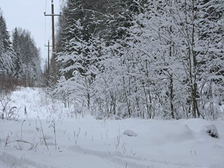 В Тверской области из-за непогоды в ночь на 2 января без энергоснабжения остались почти 7 тысяч человек, живущие в 238 населенных пунктах