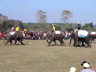 В Непале слоны поиграли в футбол, забив несколько мячей