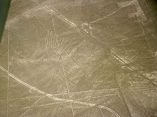 В пустыне Наска обнаружены новые загадочные рисунки