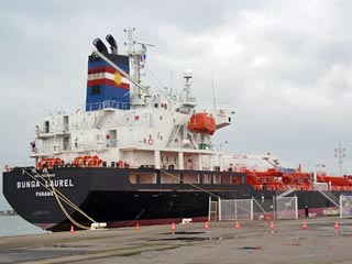 Малайзийские военные силой освободили в Индийском океане взятый в плен танкер-химовоз "Бунга Лорель" и арестовали семерых пиратов