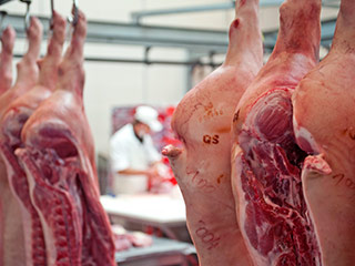 Россия с 24 января вводит временный запрет на ввоз мяса свинины, свиней для убоя и поросят для откорма, а также готовой мясной продукции, содержащей свинину, произведенной на территории Германии после 1 ноября 2010 года