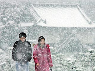 Более 80 человек погибли в Японии в результате сильных снегопадов, которые обрушились на страну нынешней зимой