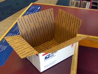 Женщине из штата Миннесота предъявлены обвинения в жестоком обращении с животными после того, как она попыталась отправить щенка по почте, посадив его в посылочную коробку