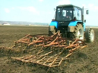 Весной в России придется пересевать почти 4,5 миллиона гектаров зерновых, десятая часть всех озимых погибла