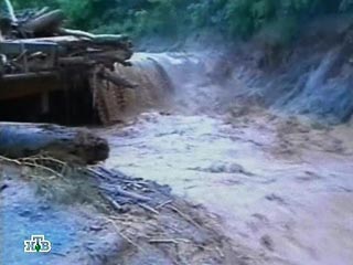 Пять популярных у туристов провинций на юге Таиланда объявлены зоной бедствия из-за сильного наводнения