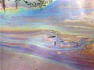 Большое нефтяное пятно плывет по реке Дон в Ростовской области