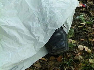 Воронежский чиновник найден в лесу повешенным на собственном шарфе