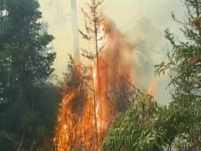 На территории Сибирского федерального округа действуют 78 очагов лесных пожаров на общей площади 923,3 га, из них локализовано 28 на площади 434,4 га