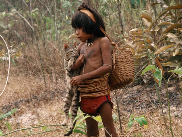 Цивилизация впервые пришла к индейцам амондава в 1986 году, и теперь британские ученые из Университета Портсмута вместе со своими бразильскими коллегами из Федерального университета Рондониа начали работать над проблемой отображения времени в их языке