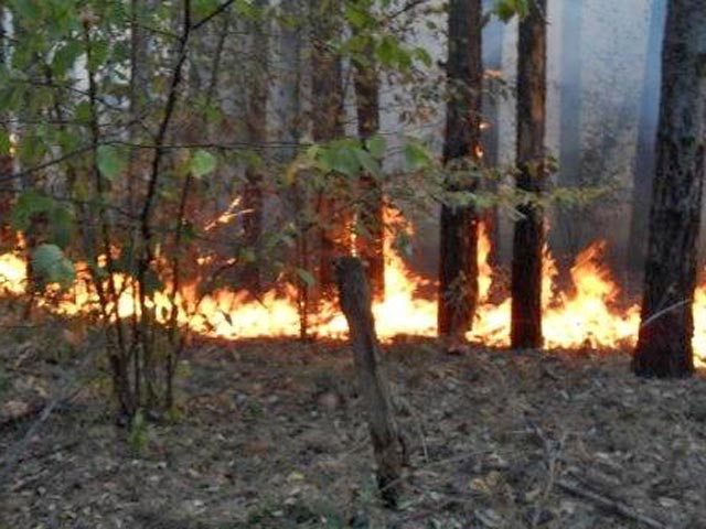 Природные пожары в Сибири распространяются на все большие площади. За минувшие сутки девять новых очагов сожгли 425,9 га