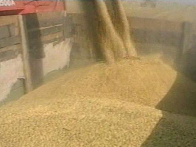 Россия снимает запрет на экспорт зерна с 1 июля
