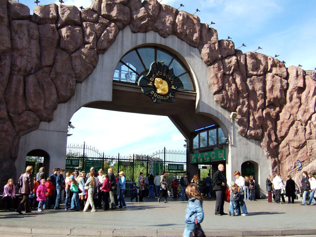 В Москве срочно закрыли зоопарк - у животных заподозрили африканскую чуму
