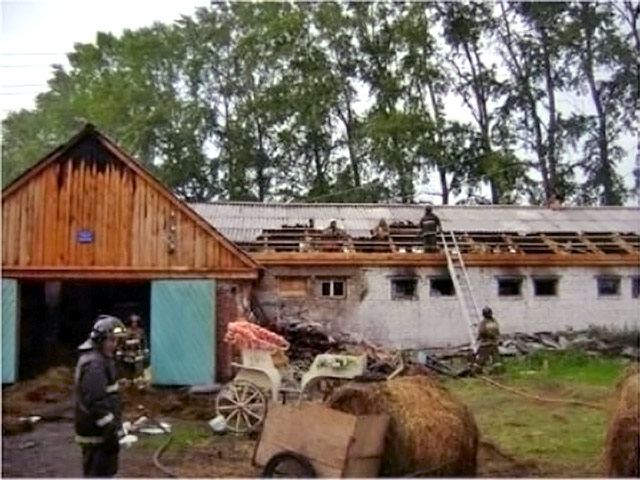В ходе тушения пожарные вывели из горящей конюшни одну из работниц ипподрома