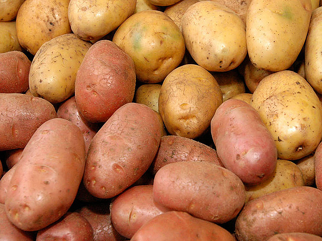 Группа ученых из разных стран, работающая в Шотландии, полностью расшифровала ДНК картофеля