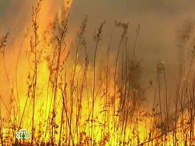 Более чем вдвое увеличилась за сутки площадь природных пожаров на Дальнем Востоке