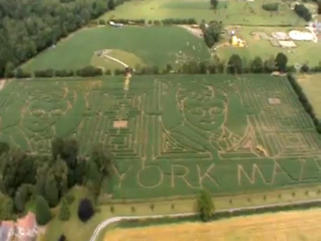 Британский фермер в честь последнего фильма поттерианы создал огромный кукурузный лабиринт с портретами Гарри Поттера