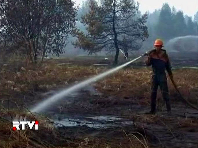 Торф загорелся в Шатурском районе, площадь пожара составила 0,05 гектара