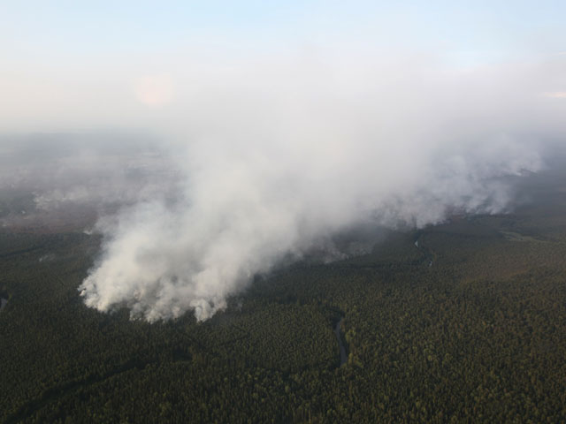 В страдающих от аномальной жары и охваченных лесными пожарами Архангельской области и Республике Коми введен режим чрезвычайной ситуации