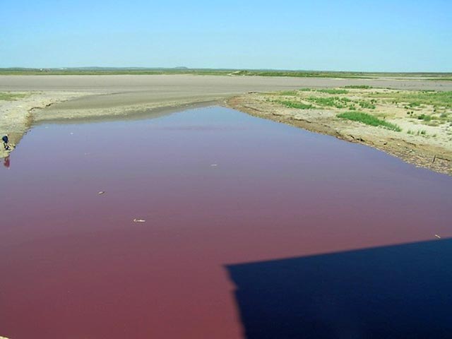 В Техасе озеро окрасилось в красный цвет. Фанатики объявили о конце света