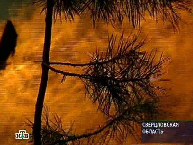 Количество лесных пожаров в Сибири за минувшие сутки снизилось вдвое - до 10 очагов