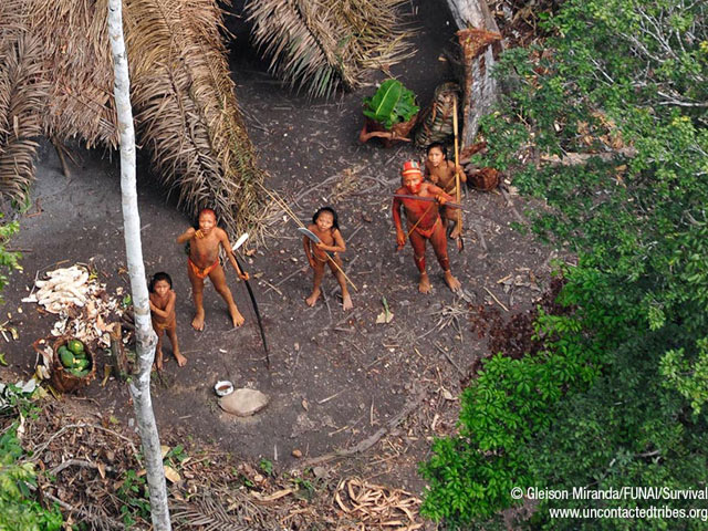 СМИ: в Бразилии исчезнувшие "оранжевые" индейцы стали жертвами наркоторговцев