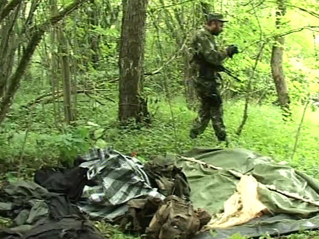 Семеро боевиков ликвидированы в ходе спецоперации в горах Веденского района Чечни