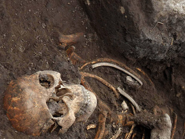 Недалеко от петербургского музейного комплекса "Шалаш Ленина" полицейские обнаружили скелетированный труп неизвестного мужчины
