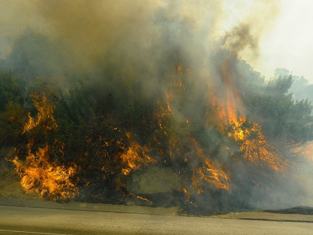 Несколько сотен человек были вынуждены покинуть свои дома из-за сильных лесных пожаров, бушующих в американских штатах Техас и Оклахома