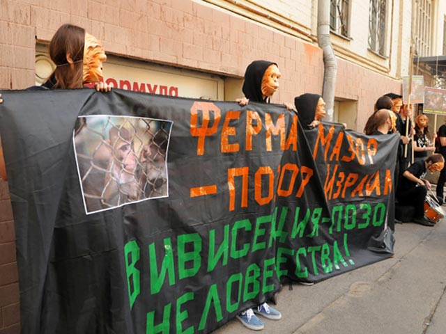 У здания посольства Израиля в Москве в пятницу прошел пикет против опытов над животными. Зоозащитники выстроились напротив дипмиссии с плакатами и растяжками, а на лицах у них были обезьяньи маски