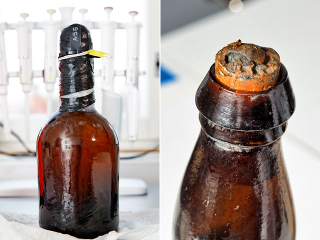 Финским ученым удалось раскрыть состав древнейшего в мире пива, несколько бутылок которого наряду с партией шампанского, были подняты со дна Балтийского моря у Аландских островов в прошлом году