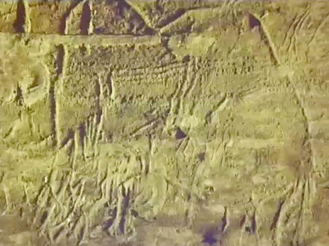 Доисторические рисунки, найденные в пещере Руффиньяк во Франции, созданы детскими руками. По мнению ученых, некоторым юным художникам было всего по три года