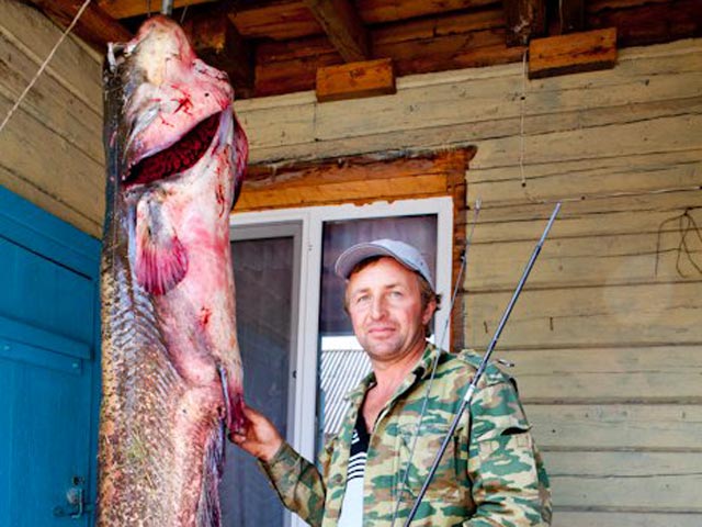 Белорусский рыбак выловил рекордного сома длиной более двух метров