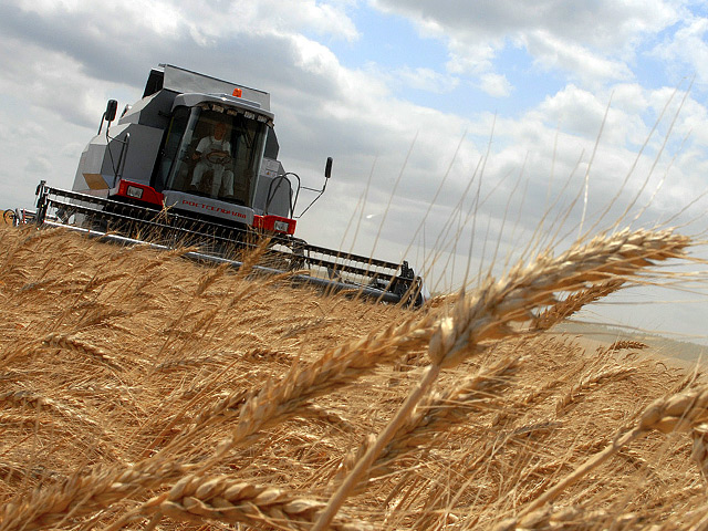 Мировые цены на пшеницу взлетели более чем на 8% после заявления первого вице-премьера РФ Виктора Зубкова о возможном ограничения экспорта зерна, если его поставки за рубеж превысят 23-24 млн тонн