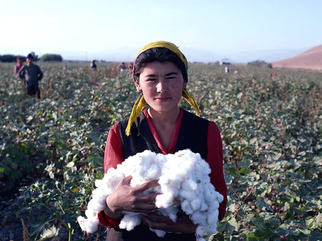 Западные покупатели оказывают давление на Узбекистан, крупного производителя и экспортера хлопка, требуя представить доказательства, что страна больше не использует детский труд на хлопковых полях