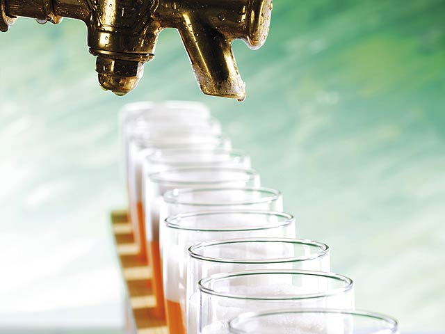 Пиво может вновь перестать считаться алкогольным напитком. На этом настаивает Белоруссия