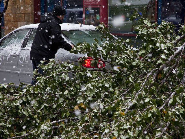 До пяти человек возросло число жертв сильнейших снегопадов, обрушившихся в минувшие выходные на северо-восток США
