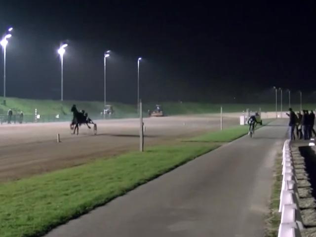 Голландский велогонщик проиграл скаковой лошади в очном поединке