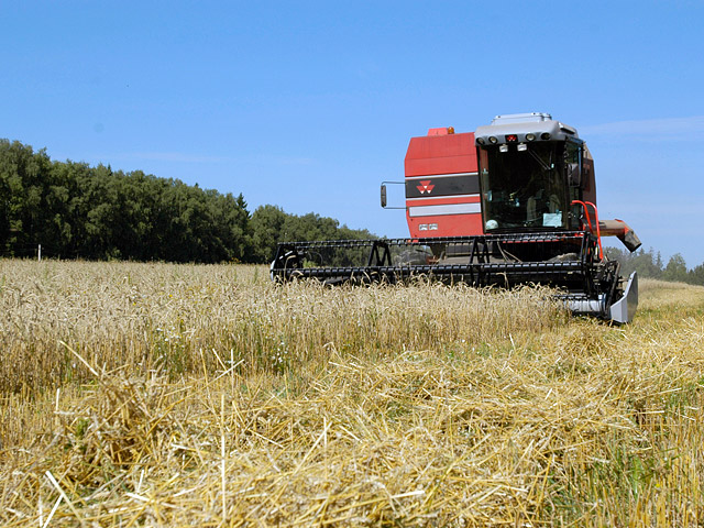 Премьер-министр Украины Николай Азаров предложил Астане вернуться к идее создания трехстороннего зернового пула в формате Украина - Казахстан - Россия, рассчитывая совместно обеспечивать 20% мирового экспорта