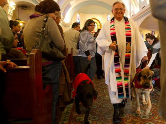 Отца Роя Снайпса, настоятеля одного из техасских католических приходов, постоянно можно наблюдать в сопровождении его многочисленных питомцев - собак, вместе с которыми он и совершает богослужения, отправляет требы, общается с прихожанами