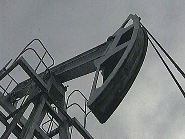 ОПЕК: нормальная цена нефти - 100 долларов за баррель