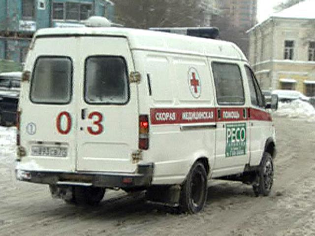 Трехлетняя девочка погибла на прогулке в московском детском саду