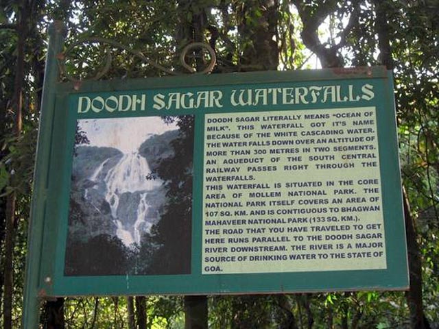 Российский турист пропал в Индии во время экскурсии на водопад Дудхсагар в штате Гоа