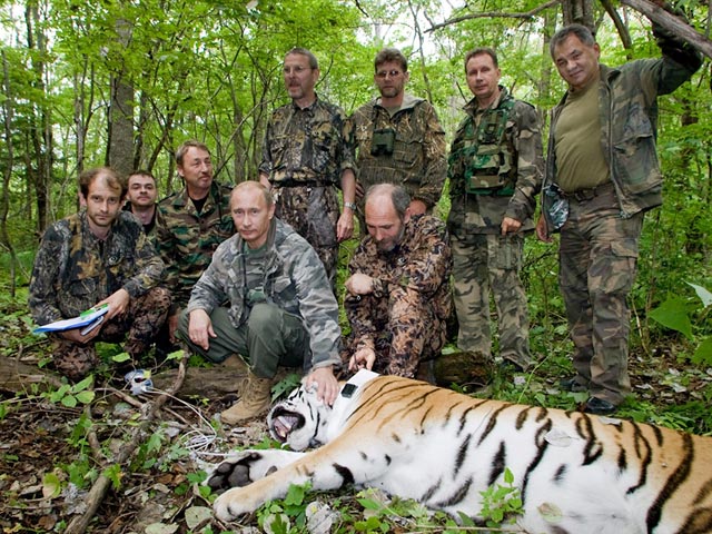 Координатор проектов института Наталья Ременникова заявила в интервью Радио "Свобода", что тигрица по кличке Серьга действительно была помечена при участии Путина